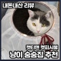 내돈내산 고양이 항아리 숨숨집 캣티맨 캣피시볼 추천