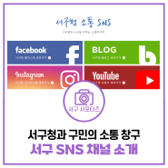 서구TV 유튜브와 인스타그램에서 인천시 서구 정보 모아보세요