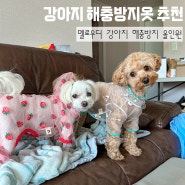 강아지 진드기,벌레 해충방지옷 추천 : 멜로우디 올인원