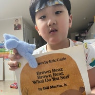 7살아들 영어책 읽어주기 /Brown bear Brown bear what do you see!