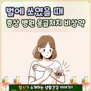 벌에 쏘였을 때 증상 병원 응급처치 비상약