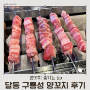 달동 구룡성 양갈비 양꼬치 후기 / 울산양갈비맛집