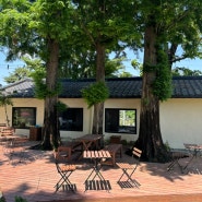 천안 배꽃 카페, 야외정원이 있는 예쁜 카페 “동민목장”(야외정원 애견동반O)