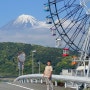 시즈오카여행 일본 후지산뷰 포토스팟 best 4