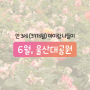 울산대공원-아이랑 나들이,나비체험관,동물원,장미원