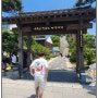 포항 구룡포 일본인 가옥거리를 방문하다!