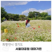 서울대공원 테마가든 장미축제 고향정원 말뱅이나물꽃 이벤트 정보
