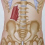 기침할때 허리통증이 심하다면? 요방형근먼저 살핍시다.