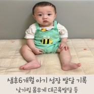 생후 6개월 아기 발달 성장기록 신체 대근육 놀이 장난감