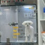 부천 동물병원 24시 옥길아라동물의료센터 강아지 건강검진 스케일링