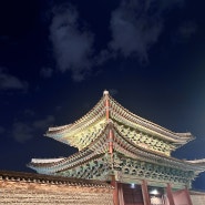 창경궁 야간개장 궁궐 야행