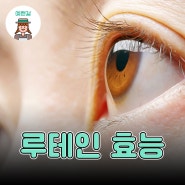 루테인 효능 핵심 정리 눈 건강을 지키는 습관