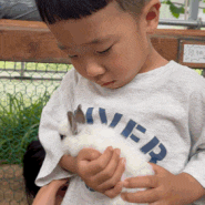 파주 아이와 가기좋은 나눔농장 동물 먹이주기체험 아이와 주말나들이 서울근교 당일치기