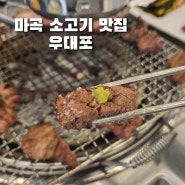 마곡 소고기 맛집/생왕갈비와 깍뚝꽃살 맛집 우대포