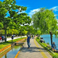 후쿠오카 오호리공원 산책하며 여유를 즐기는 여행 코스로 추천