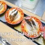 오사카 도톤보리 회전초밥 맛집 겐로쿠즈시 신사이바시점