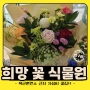 논산 연무대 육군훈련소 근처 꽃가게 희망꽃식물원 내돈내산 후기
