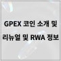 GPEX 코인 소개 및 리뉴얼 및 RWA 정보
