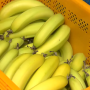바나나 보관방법, 냉장고·실온 & 적절한 장소는?
