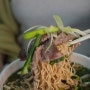 서촌맛집 퍼리코 서촌 추천, 정통 베트남 쌀국수를 즐길 수 있는 찐맛집