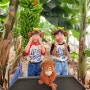 대구근교 아이랑 청도 체험농장 꿈그린농원 바나나따기