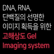 639호-DNA, RNA, 단백질의 선명한 이미지 획득을 위한 고해상도 Gel Imaging system