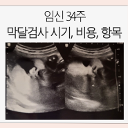 임신 34주 막달검사 시기, 비용, 시간 / 내진은?