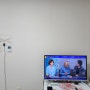 4KUHD 지상파 안테나 추천 브리사 TV 안테나 사용 후기