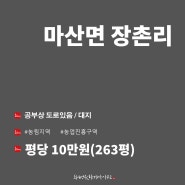 [매매]전남 해남군 마산면 장촌리 대지263평 농취필요없음~