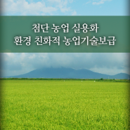 강화군 농업 아카데미 - 치유농업 교육