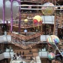 거대한 책 기둥이 웅장한 수원의 가볼 만한 곳 스타필드 별마당 도서관