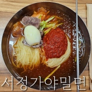 경기 성남 복정동 밀면 맛집 서정가야밀면 주차장 가천대 동서울대 근처 혼밥 냉면 웨이팅 후기