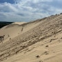 [프랑스보르도] #넷째날-1. 보르도시내에서 Arcachon 바다 지나 Dune du Pilat 사막 가는방법. (feat. 오늘 내 콘셉트는 티모시샬라메였어)