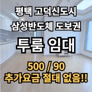 평택 고덕 신도시 삼성 현장 앞 투룸 임대 ( 500 / 90 )