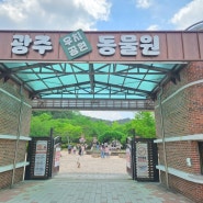 광주 아이랑갈만한곳 우치공원 동물원 무료 7살여아 추천 장소