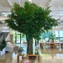 수원 근교 대형 카페 : 나무 포토존이 있는 신상카페 언더더트리