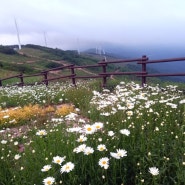 차박일기(1) 육백마지기 별 보러가기