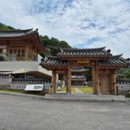 시원한 회비빔막국수와 메밀왕만두 점심! 원주 서곡리 맛집, 대동면옥