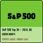 S&P 500 TOP 30 - 24년 6월 1일