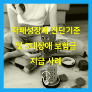 자폐성장애 진단 기준 및 3대장애 보험금 지급 사례