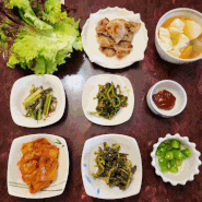 저녁 고기반찬 혼밥메뉴 1인 밥상 간단한국 단백질 채식식단