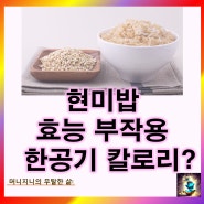 현미밥 효능 부작용 혈당 당뇨: 현미밥 한공기 칼로리 탄수화물 함량은?