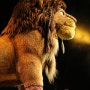 홍콩 디즈니랜드 라이온킹(Festival of The Lion King) 공연