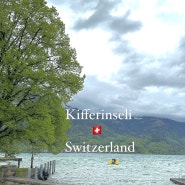 스위스 신혼여행 🇨🇭4일차 kifferinseli 공원, 인터라켄west역, 그린델발트 터미널역 coop 삼겹살 파티