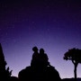 [미국 LA 여행1] 대자연 속 스테이크와 별 속에 파묻히는 인생샷💗 요즘 대세는 조슈아트리 국립공원 투어🤩