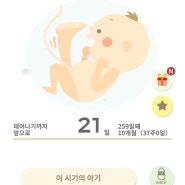#11 임신 36주~37주차 / 태동검사