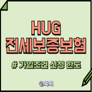 hug 전세보증보험 가입조건 신청 한도