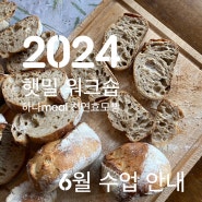 [농가밀 Class 신청] 2024 햇밀 워크숍, 6월 _ 하나meal 천연효모빵, 수업 안내