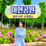 대구 6월 꽃구경 수국명소 이현공원 잔디광장 실시간 개화상황