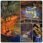 동해시 가볼만한 곳 천곡동굴 여름에도 시원한 황금방쥐동굴